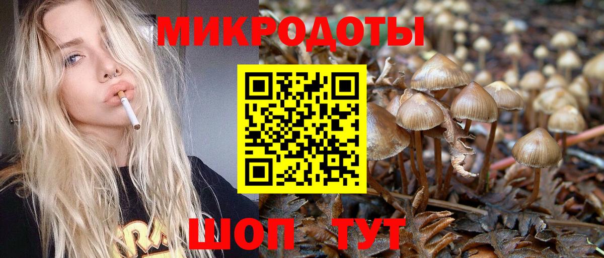 Псилоцибиновые грибы MAGIC MUSHROOMS Торжок
