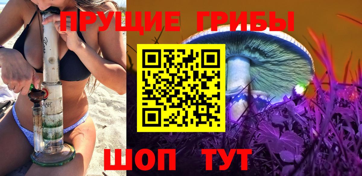 где купить   Вход с VPN  Торжок  Псилоцибиновые грибы Psilocybe 